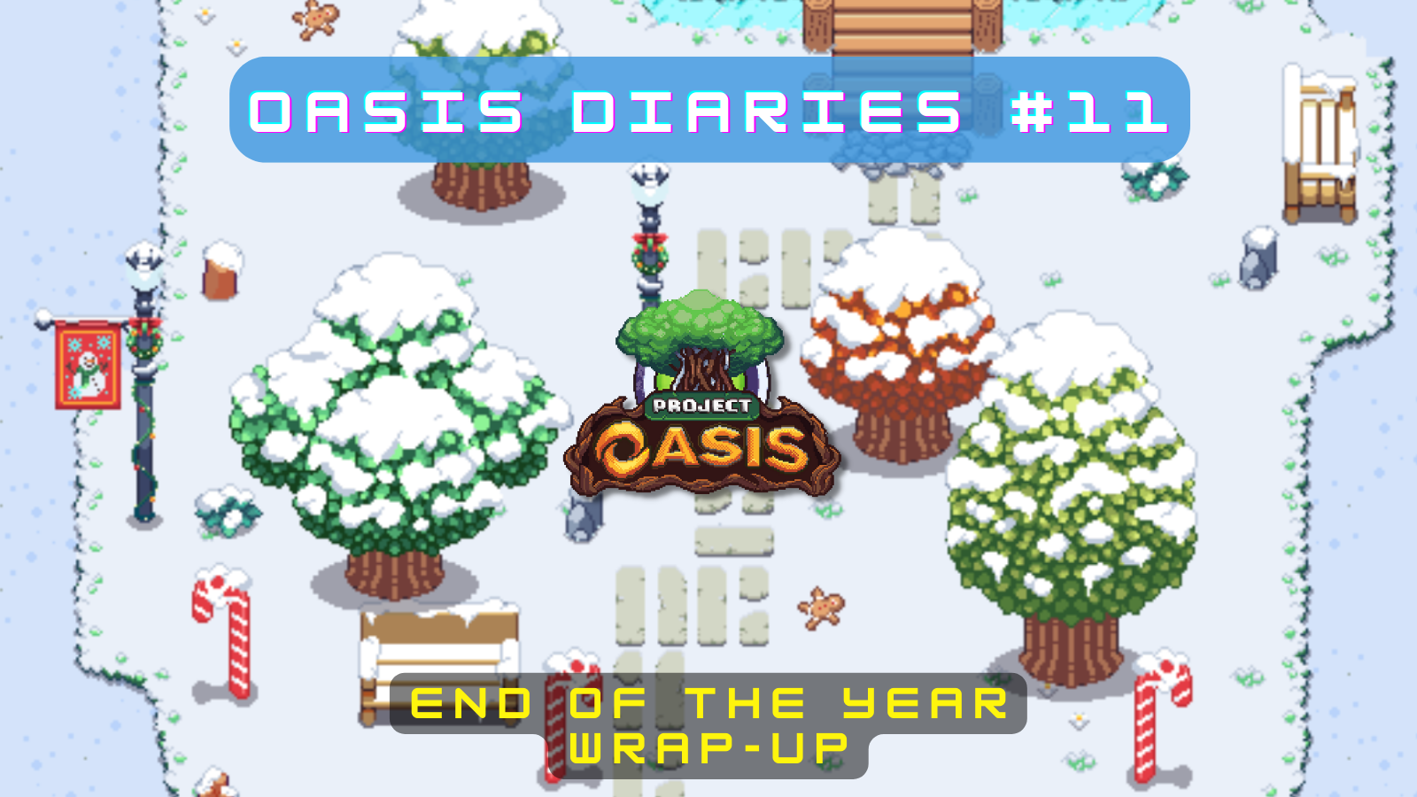 OASIS Diaries #11: End of the Year Wrap-up
